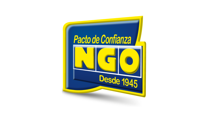 NICOLAS GONZALEZ ODDONE S.A.E.C.A.