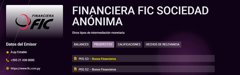 bolsa 